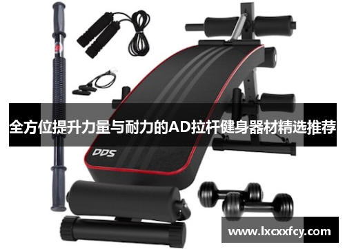 全方位提升力量与耐力的AD拉杆健身器材精选推荐