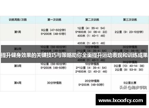 提升健身效果的关键技巧与策略助你全面提升运动表现和训练成果