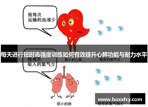 每天进行短时高强度训练如何有效提升心肺功能与耐力水平