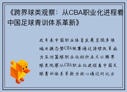 《跨界球类观察：从CBA职业化进程看中国足球青训体系革新》