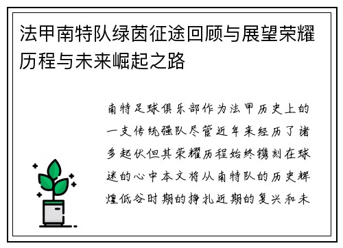 法甲南特队绿茵征途回顾与展望荣耀历程与未来崛起之路