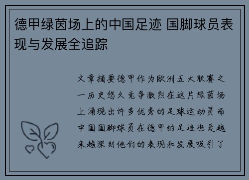 德甲绿茵场上的中国足迹 国脚球员表现与发展全追踪