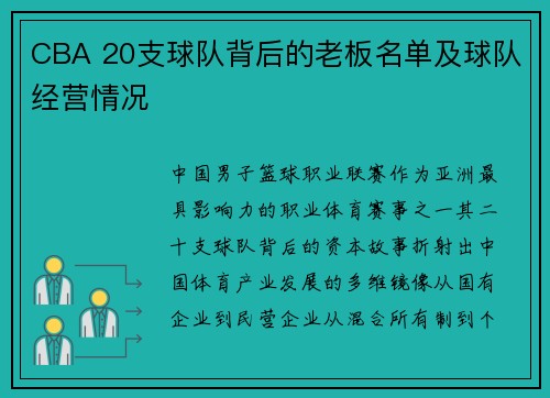 CBA 20支球队背后的老板名单及球队经营情况