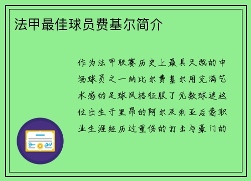 法甲最佳球员费基尔简介