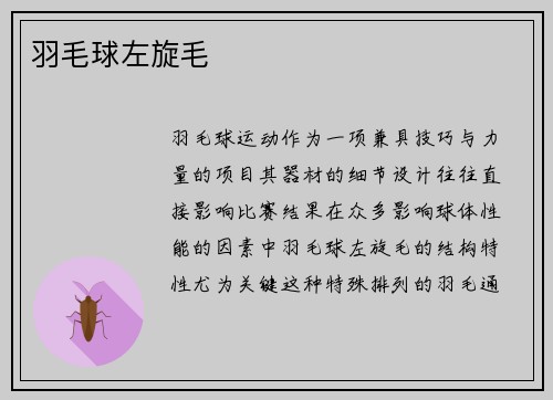 羽毛球左旋毛